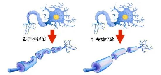 微信图片_20200922101912.jpg